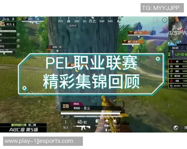 esports数据和平精英赛事中RNG速度引发热议玩家对战术选择产生分歧 esports数据和平精英赛事中RNG速度引发热议玩家对战术选择产生分歧