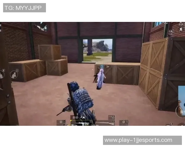 2026电竞新闻专访李秀英揭秘和平精英成功秘诀与未来发展战略